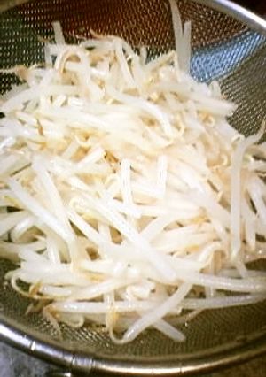 ピンピンのもやし、水から茹でれば大丈夫-レシピのメイン写真