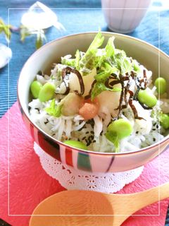 しらすおろし・梅わさび・塩昆布の丼-レシピのメイン写真