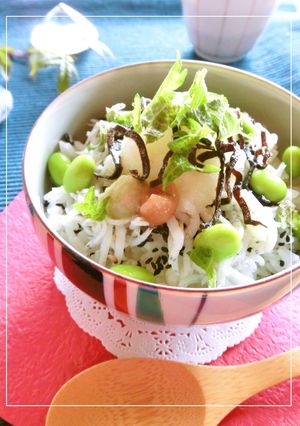 しらすおろし・梅わさび・塩昆布の丼-レシピのメイン写真