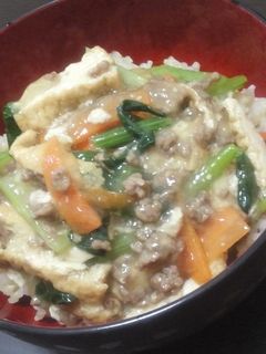 厚揚げ入り♪中華風塩あんかけ丼-レシピのメイン写真