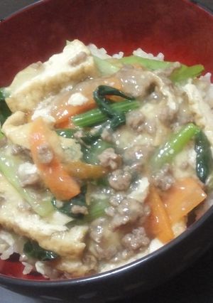 厚揚げ入り♪中華風塩あんかけ丼-レシピのメイン写真