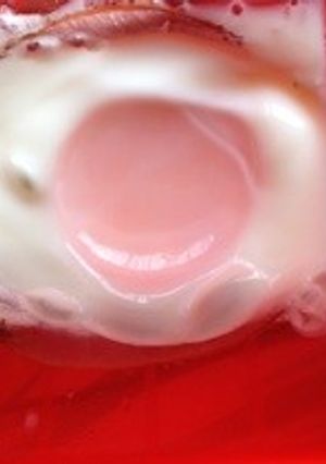 ルクエで簡単ハムエッグ-レシピのメイン写真