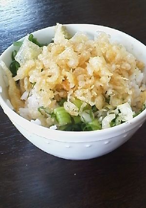 簡単どんぶり★天かす丼-レシピのメイン写真