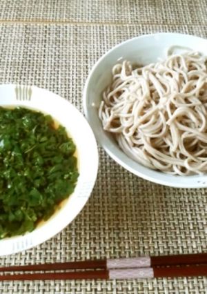 夏野菜＊モロヘイヤそば-レシピのメイン写真