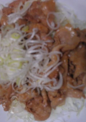 豚ばら肉のオイスターソース炒め丼-レシピのメイン写真
