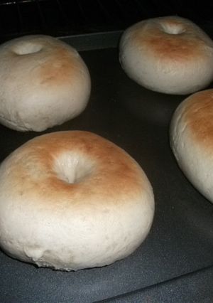 プレーンベーグル-レシピのメイン写真
