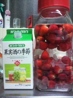 果実酒2☆いちご酒-レシピのメイン写真
