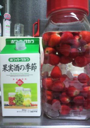 果実酒2☆いちご酒-レシピのメイン写真