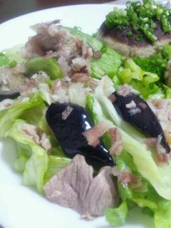 豚しゃぶと茄子の香味サラダ-レシピのメイン写真