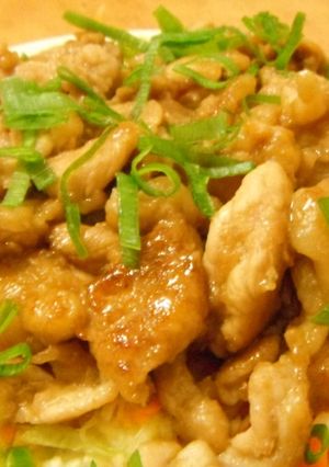 鶏胸肉の生姜焼きのっけサラダ-レシピのメイン写真