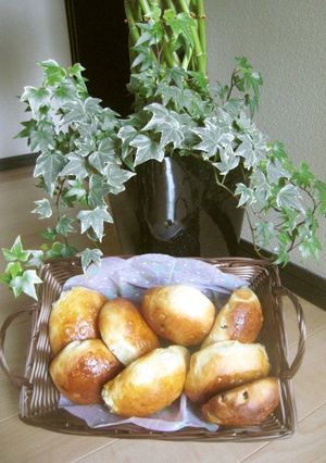 ラム酒入りレーズンパン-レシピのメイン写真
