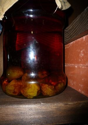自家製梅酒ブランデーベース　京都カフェ-レシピのメイン写真