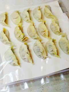 手作り餃子の冷凍保存方法!!-レシピのメイン写真