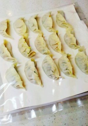手作り餃子の冷凍保存方法!!-レシピのメイン写真