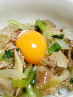 ちんげん菜の中華丼☆-レシピのメイン写真