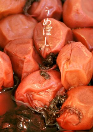 塩分控えめ♪南高梅の梅干し-レシピのメイン写真