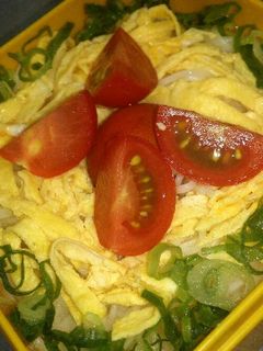 お弁当にそうめんを-レシピのメイン写真