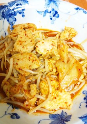 辛くて旨い☆鳥胸肉ともやしのキムチ炒め-レシピのメイン写真