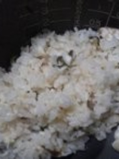 塩麹で鯛めし-レシピのメイン写真