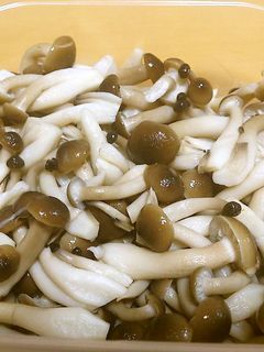 塩きのこ-レシピのメイン写真