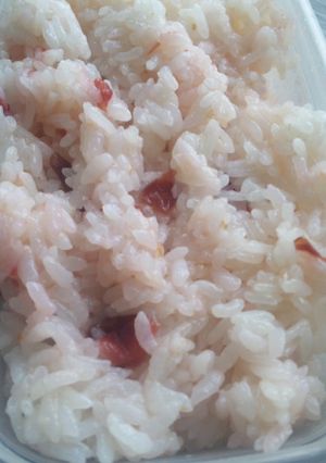 お弁当に✿梅ご飯✿-レシピのメイン写真