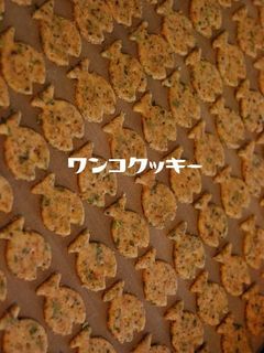 *わんこ用*ごまときなこと青のりクッキー-レシピのメイン写真