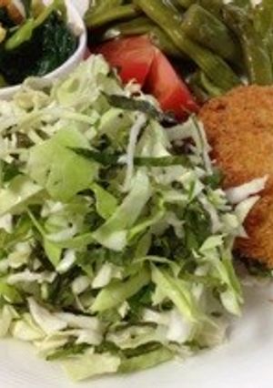 付け合わせ＊千切りキャベシソ-レシピのメイン写真
