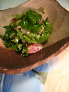 鯵とバジルの酢の物-レシピのメイン写真