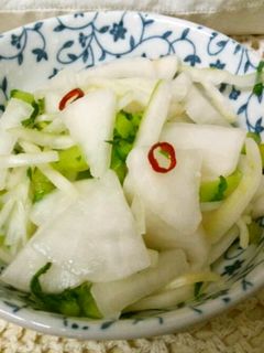 自家製浅漬けの素で大根の浅漬け-レシピのメイン写真