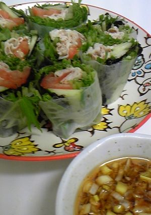 簡単生春巻-レシピのメイン写真