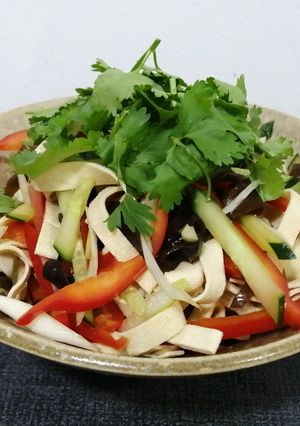 「百页豆腐」（薄い押し豆腐）-レシピのメイン写真