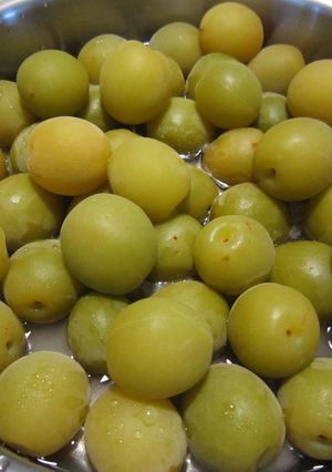 青梅のシロップ煮-レシピのメイン写真