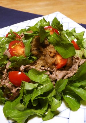 ルッコラと牛薄切り肉のおかずサラダ♪-レシピのメイン写真