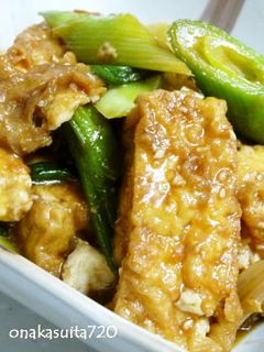 厚揚げとねぎの焼き肉のたれ炒め-レシピのメイン写真