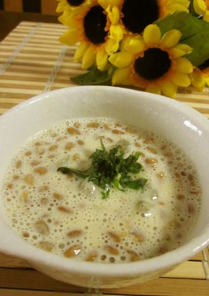 ヘルシー♫納豆＆豆乳のなめらかスープ-レシピのメイン写真