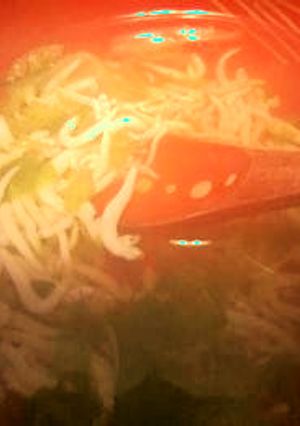 レタスとシラスの和風コンソメスープ-レシピのメイン写真