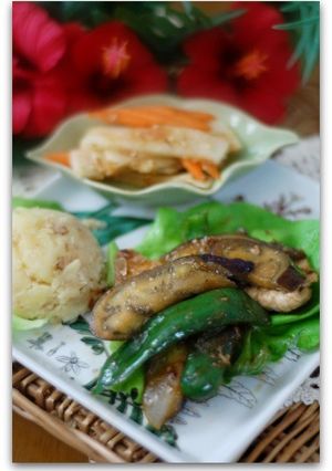 豚肉と茄子の胡麻風味オイスター炒め-レシピのメイン写真