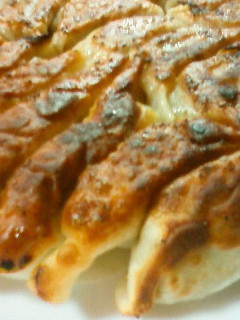 手作りぎょうざ-レシピのメイン写真