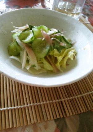 ☀　さっぱり薬味サラダ　☀-レシピのメイン写真