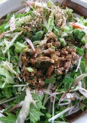 納豆そば-レシピのメイン写真