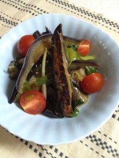 茄子と青ネギの焼き浸し-レシピのメイン写真