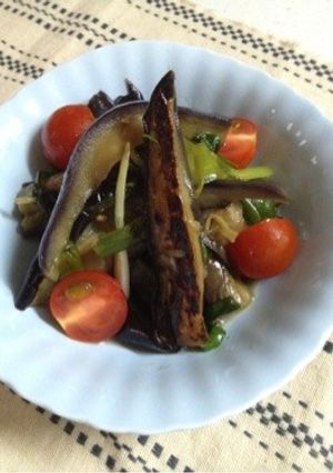 茄子と青ネギの焼き浸し-レシピのメイン写真