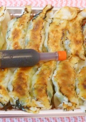 パパのキャベツ焼き餃子（Ⅱ）-レシピのメイン写真