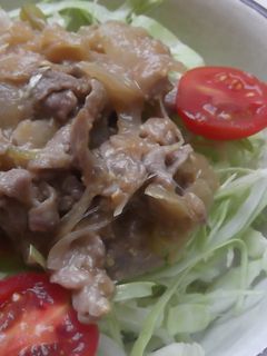豚丼-レシピのメイン写真