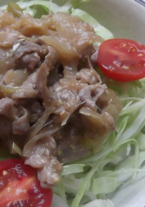 豚丼-レシピのメイン写真