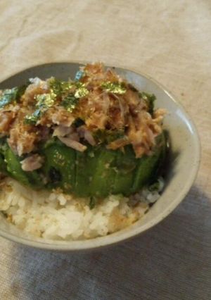 簡単ｱﾎﾞｶﾞﾄﾞ&ﾂﾅ丼-レシピのメイン写真