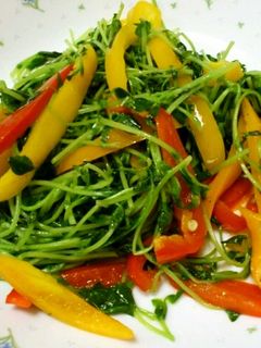 豆苗とパプリカの炒め物-レシピのメイン写真