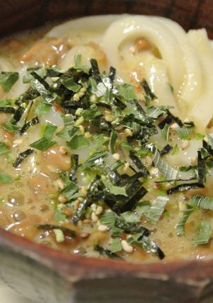 ひっぱりうどん（ベーシック編）-レシピのメイン写真