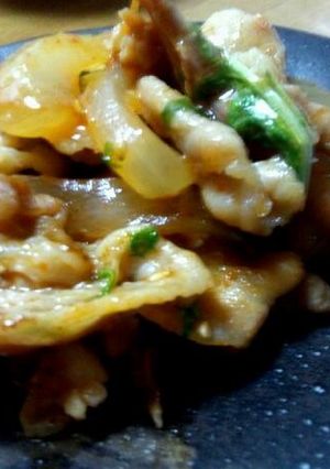 ★コチュジャンの甘辛豚肉炒め★-レシピのメイン写真