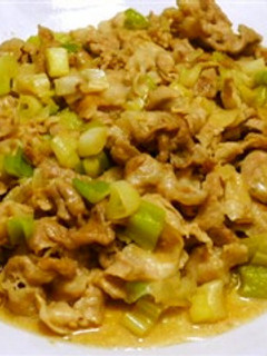 豚薄切り肉と長ねぎの炒め煮-レシピのメイン写真